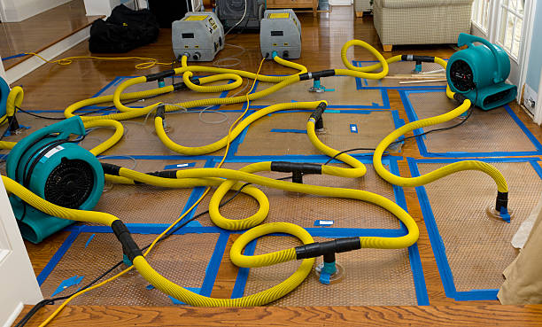 Professional Water Damage Restoration technician working in Stillwater, MN